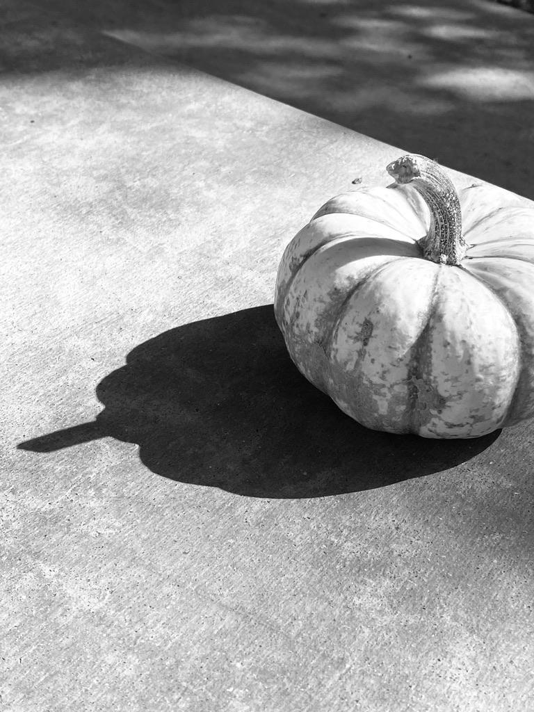 A small pumpkin rests on a concrete surface, casting a distinct shadow in black and white.