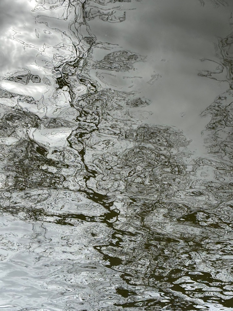 Reflection of trees and clouds in a rippling body of water, creating a textured, abstract pattern.